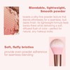 Lilyloria Matte Face Blush Powder for ‌Cheeks‌ with Brush ‌Blendable‌