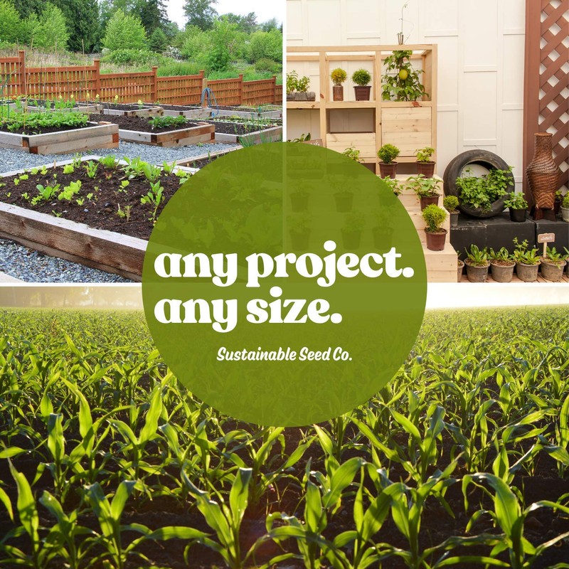 3 Brassica Classic Trio Cover Crop 4 Oz ~1,089 Seeds