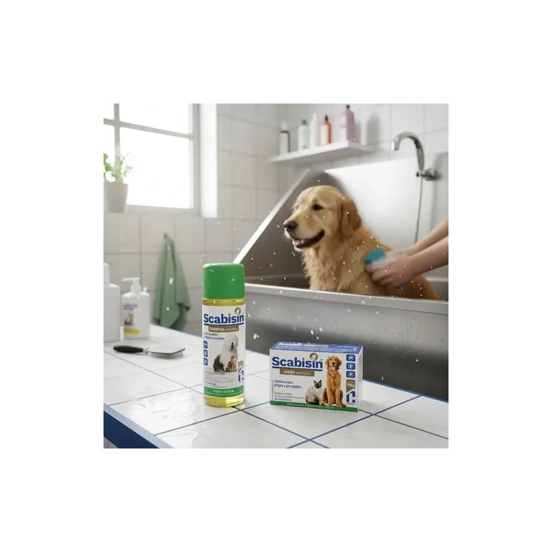 Kit Scabisin Jabón 100 Gr Y Shampoo 250 Ml