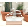 Maestro Storm Cloud Barometer Gift