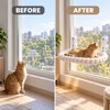 Cat Window Hammock for Indoor Cats – Strong Suction Cup