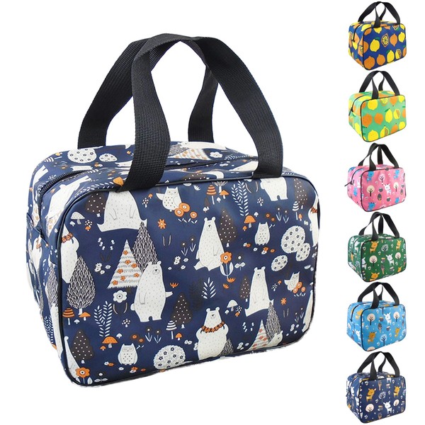 Nanxson Lunch bag, waterproof picnic bag, insulated bag for on