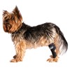 Fico Dog Hock Brace – Adjustable Rear Leg Support for