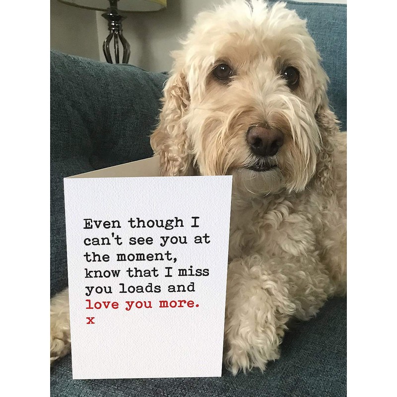 Brainbox Candy - Cute Lockdown Self Isolation Quarantine Missing You
