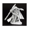 REAPER Elquin, High Elf Adventurer