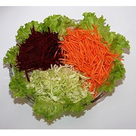 Karottenreibe Schnittbreite 2 mm / Krautreibe / Gemüsereibe (23x7cm) aus HOLZ