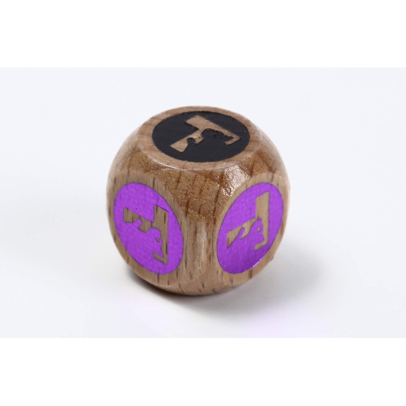TOYGER Coin Flip Dice (dice for Coin toss) for All
