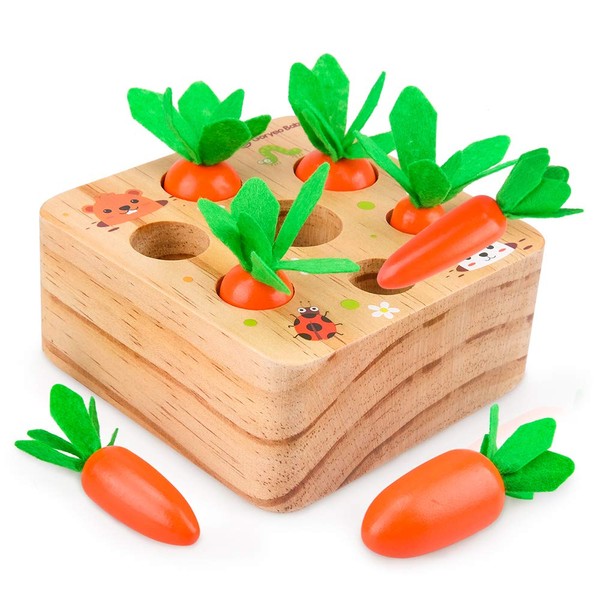 Toys for 6 Months Old Plus Boys Girls, Montessori Toys