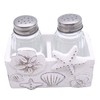 Starfish and Shells Salt & Pepper Set, Nautical Décor, Shakers