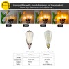 DAMAING Outdoor String Lights LED 100 FT Patio String Lights,52
