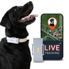 PAJ Localizador GPS Perros 4G - Incl. 3 Meses de
