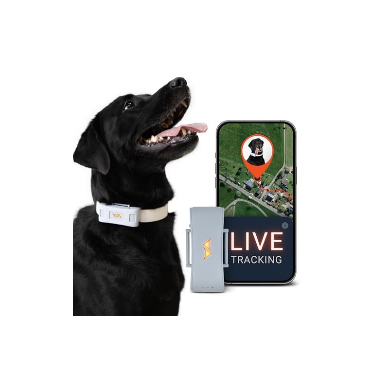 PAJ Localizador GPS Perros 4G - Incl. 3 Meses de