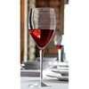 Luigi Bormioli Magnifico 20-Ounce Wine Stemware, Set of 4
