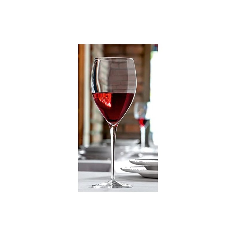 Luigi Bormioli Magnifico 20-Ounce Wine Stemware, Set of 4