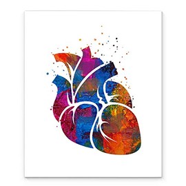 Human Heart Medical Anatomy Wall Art, 11x14 inch Ready to Frame Abstract Watercolor Style Print, Ideal for Cardiologists, Doctors, Medical Professionals, Clinic DÃ©cor or Medical Office Art