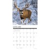 Mule Deer 2026 12" x 12" Wall Calendar