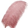 Larryhot Pink Ostrich Feathers Bulk- 16-18 inch 10pcs Feathers for