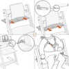 Hxeternal 5-Point Harness - Only Compatible with Tripp Trapp Baby