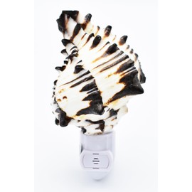 Florida Shells and Gifts Seashell Night Light Real Black Murex Shell Beach Decor w. Automatic Light Sensor Beautiful Coastal Cottage