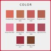 SHISEIDO Makeup Techno Satin Gel Lipstick 405 Playback 3.3g |