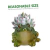 Gatuida Frog Shaped Ceramic Flowerpot Cute Desktop Planter for Succulents
