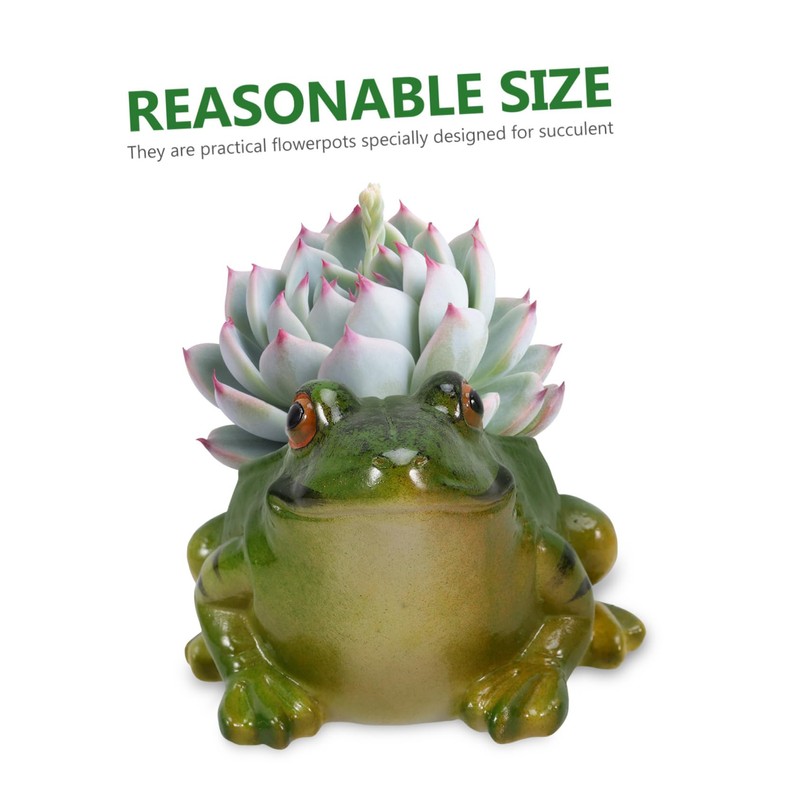 Gatuida Frog Shaped Ceramic Flowerpot Cute Desktop Planter for Succulents