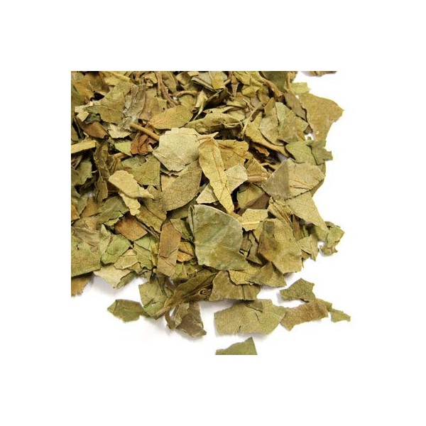 Gymnema Tea (Gimunema Sylvesta) 17.6 oz (500 g) Gimunema Tea Tea Health Tea Herbal Tea