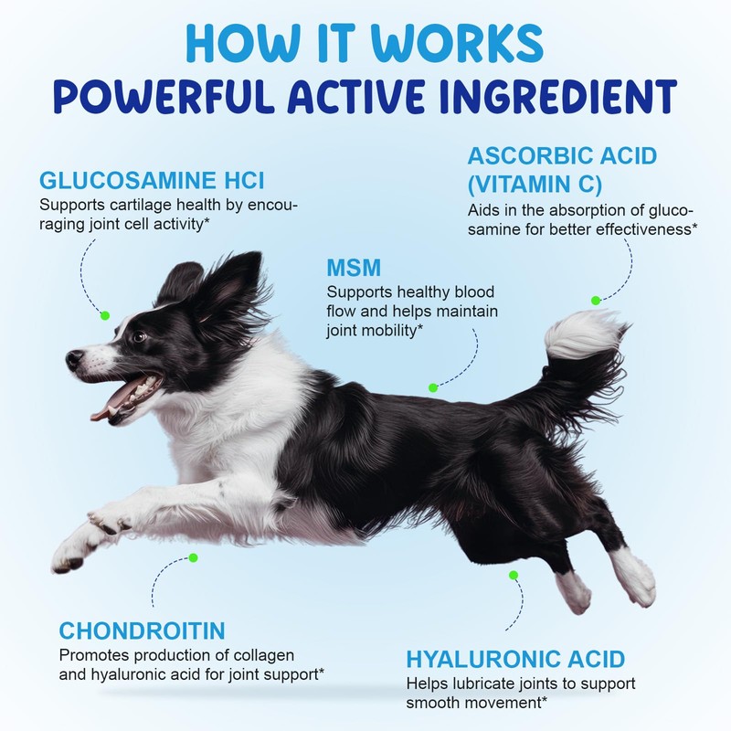 Joint Aid & Relief for Dogs, Dog Joint Aid Liquid