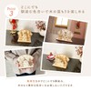 Hideshime MOK-101 Kagamochi Mochi Zodiac Wooden Decoration