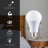 Laborate Lighting A19 LED Light Bulbs - E26, 100W, 1600