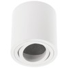 CGC Lighting Modern Ceiling Spotlight Cylinder Surface Mount Adjustable Tilt
