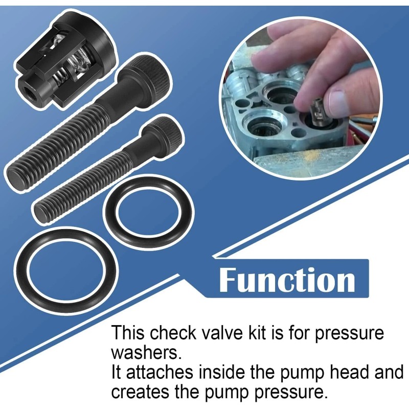Unbranded 190591GS Pressure Washer Pump Valve Check Kit for Briggs