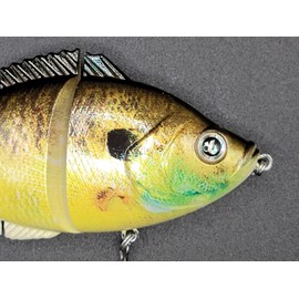 H2O Xpress H2OX Jointed Hard-Bodied Sunfish Premium Swimbait - Big Bass Fishing Lure! (Live Bluegill, 3-1/2"")