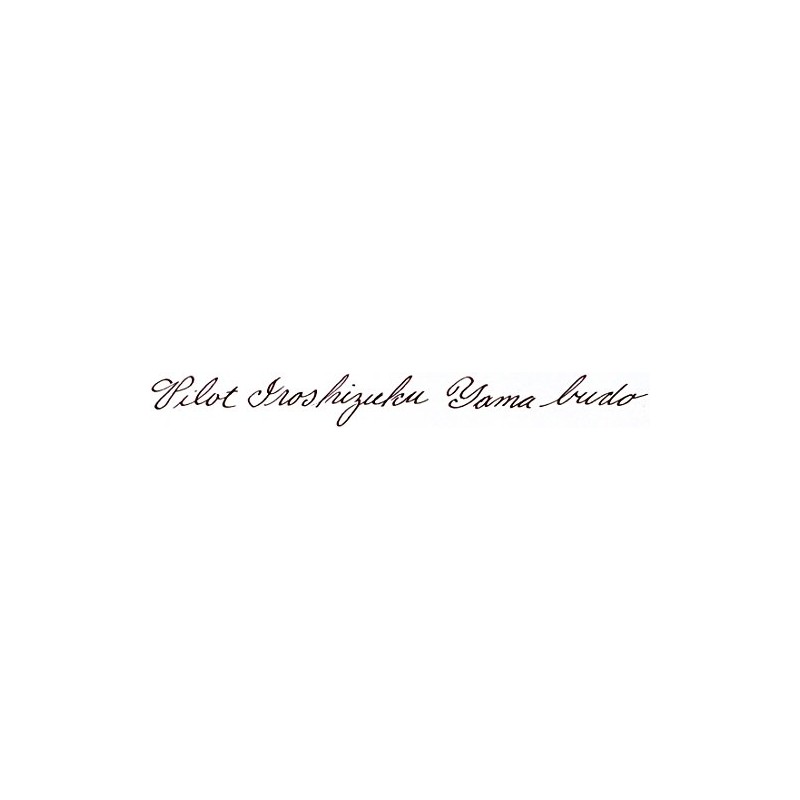 Pilot Iroshizuku Tinta para Pluma Fuente, Morado (Yama-Budo), 50 ml