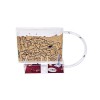 anthouse Sand Ant Farm Medium (Anthill, Formicarium, Educational, Ants)