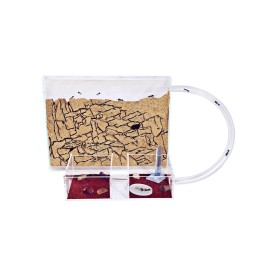 anthouse Sand Ant Farm Medium (Anthill, Formicarium, Educational, Ants)
