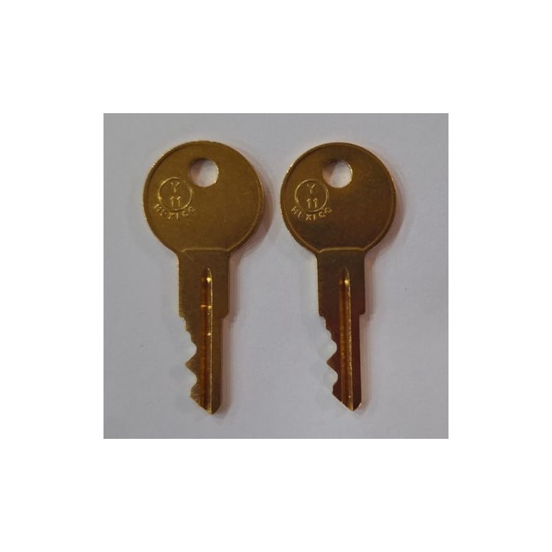2 Replacement Keys Cut to Key Code PRM49 1 for