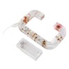 Floral Resin Letter Light Dry Flower and Alphabet Shape LED