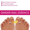 NLFOX Ginger Nail Essence - Nail Support Nail Oil -