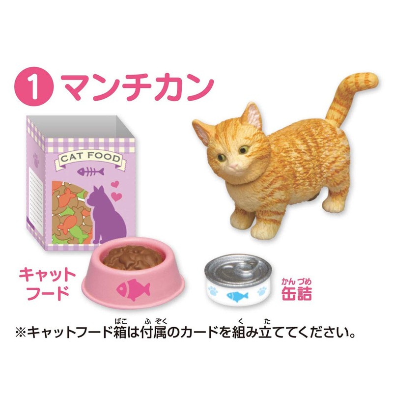 ania ania friends cat