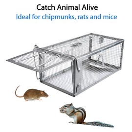 Gingbau 2-Pack Rat Traps Humane Live Chipmunk Mouse Trap Cages for Indoor and Outdoor Use