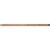 Faber-Castell PITT Pencil, Pastel, Olive Green Yellowish 173, Single