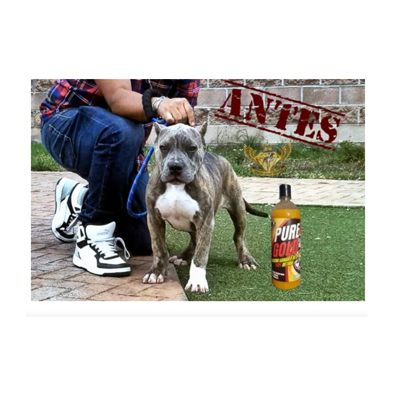 Proteina Para Perro Pure Gold Duo