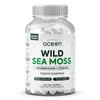 Organics Ocean Wild Sea Moss Capsules - 100% Organic Irish