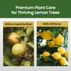 32oz Lemon Tree Fertilizer - Makes 32 Gallons of 2-in-1