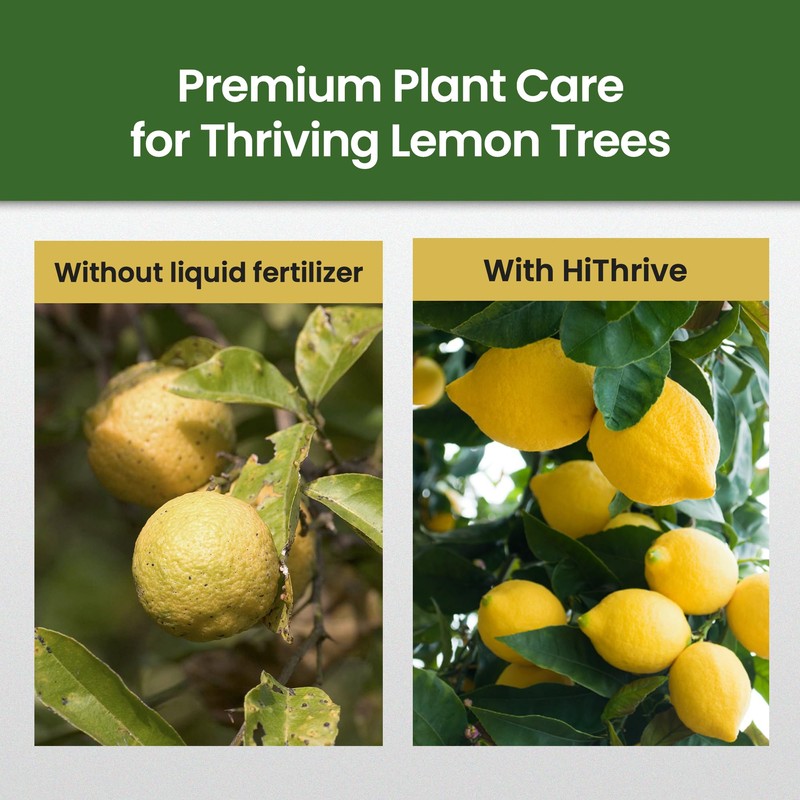 32oz Lemon Tree Fertilizer - Makes 32 Gallons of 2-in-1