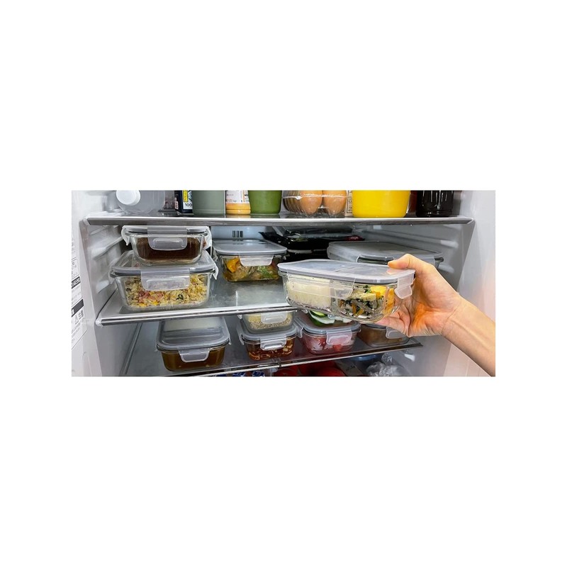 Felio 20700 Heat Resistant Food Container, 2 Divided M18.9 fl