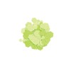 Darice SEQ502D Sequin Glitter, Lime