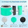 14 True HEPA Toxin Absorber Replacement Filter for Puro 240