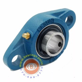 Hi-Sun Flange Bearing,2-Bolt